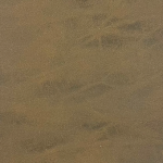 Brown PU