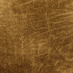 Dakota Camel
