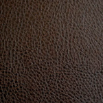 Ford Brown
