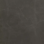 Gaucho Coal