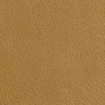 Redegade Hickory