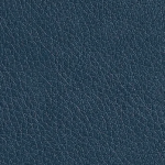 Renegade Navy