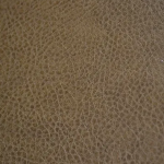 Rodeo Bronze